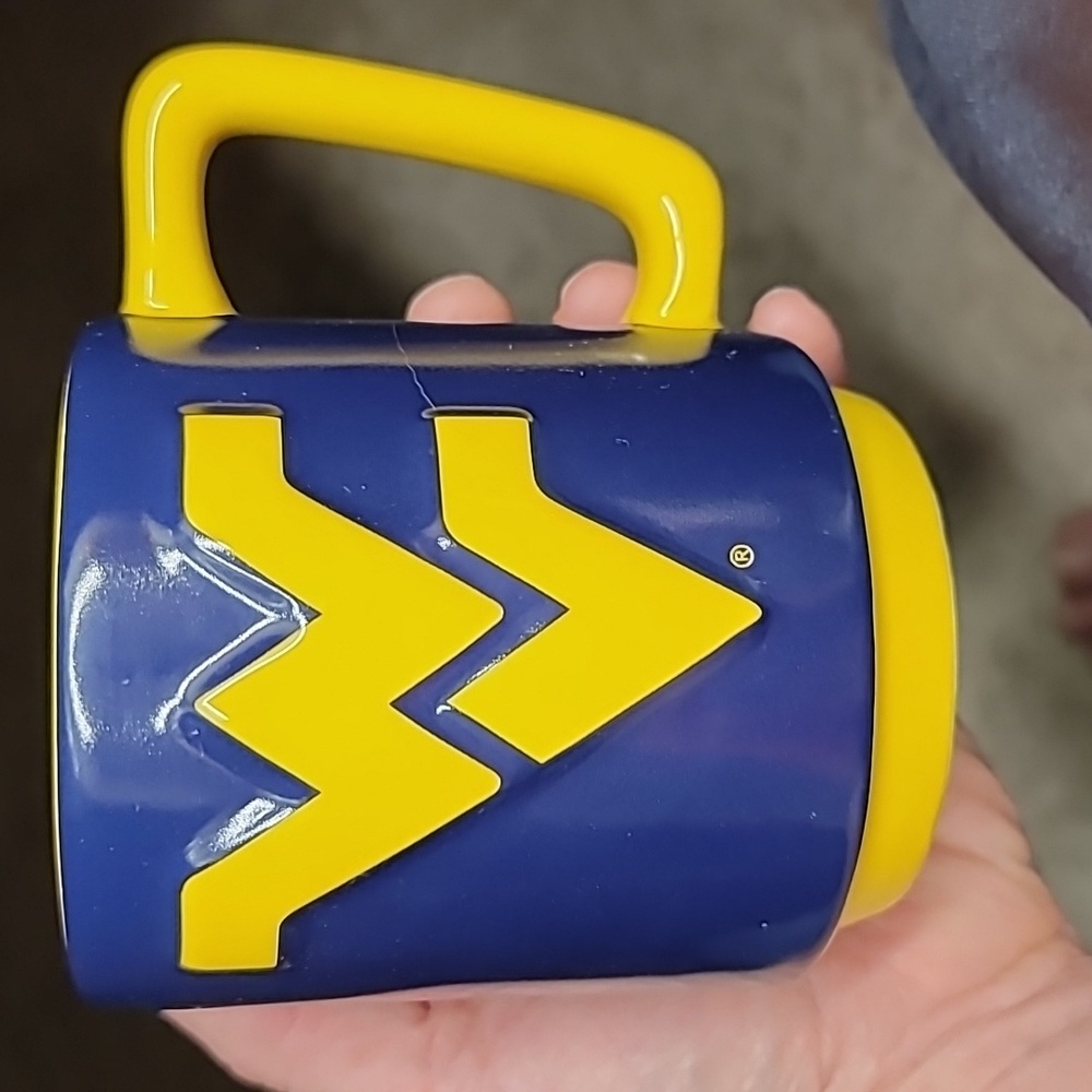 West Virginia Volunteers mug